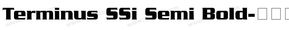 Terminus SSi Semi Bold字体转换